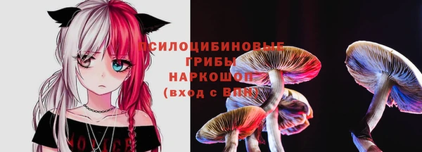 гидропоника Баксан