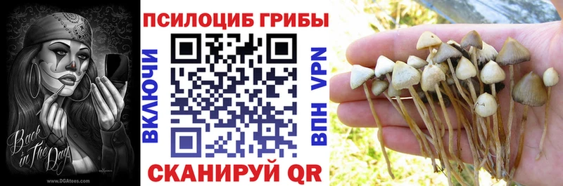мориарти какой сайт  Белогорск  Галлюциногенные грибы GOLDEN TEACHER  закладка  blacksprut ТОР 